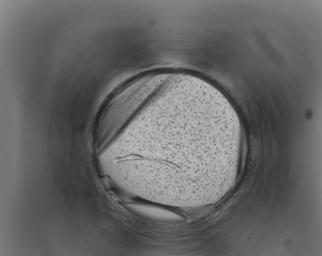 X0000094191318200711241606