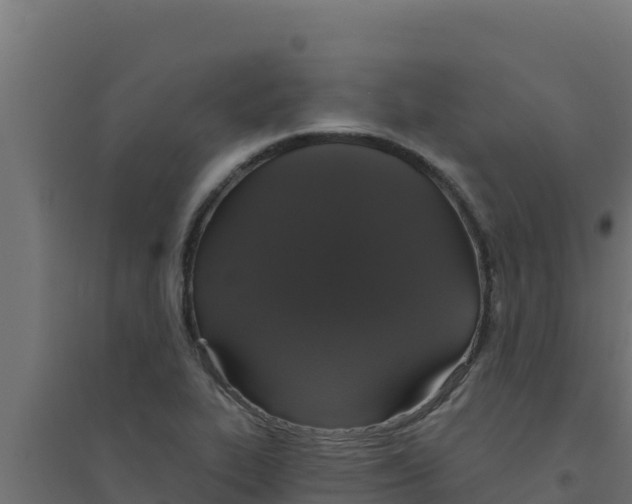 X0000094191319200711241606