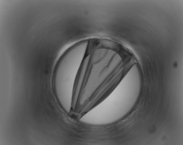 X0000094191320200711241606