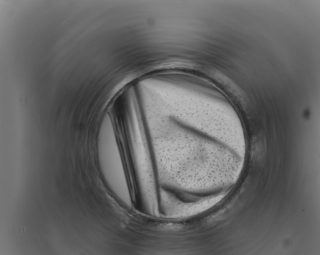 X0000094191321200711241606