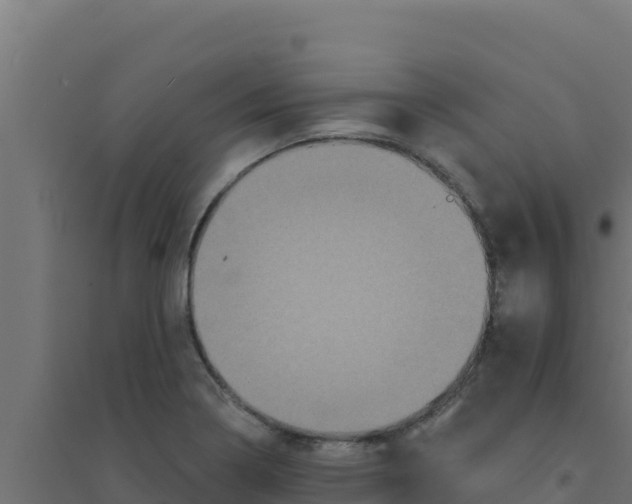 X0000094191322200711241606