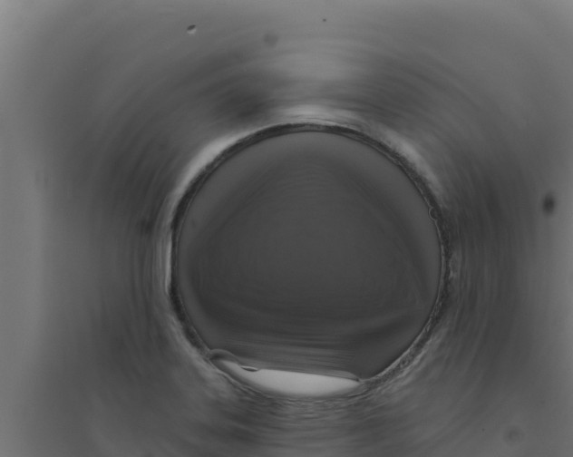 X0000094191323200711241606