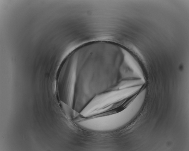 X0000094191324200711241606