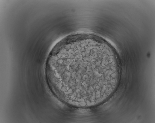 X0000094191325200711241607