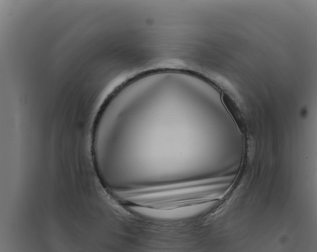 X0000094191326200711241607