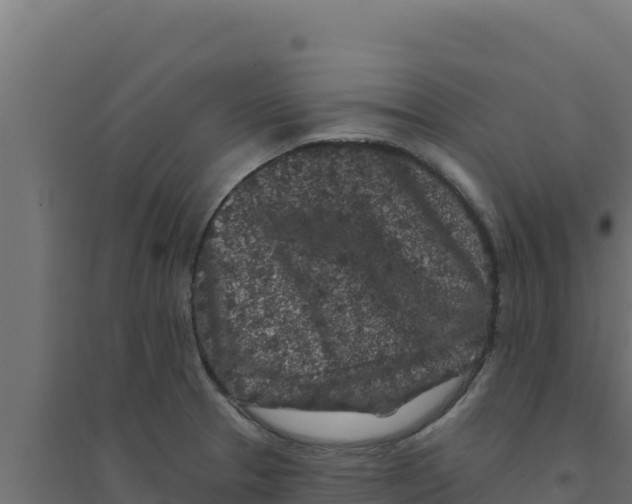 X0000094191329200711241607