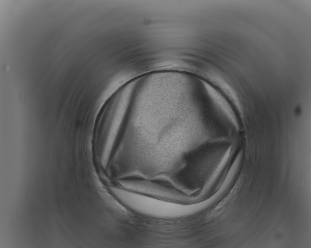 X0000094191330200711241607