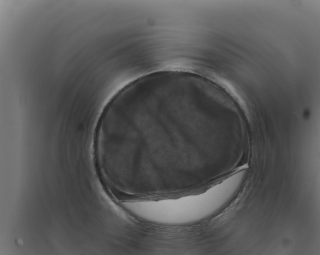 X0000094191331200711241607