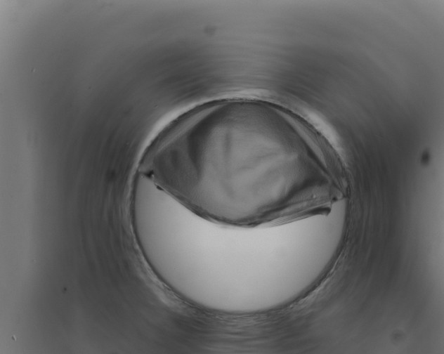 X0000094191332200711241607