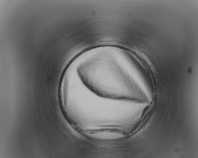 X0000094191333200711241607