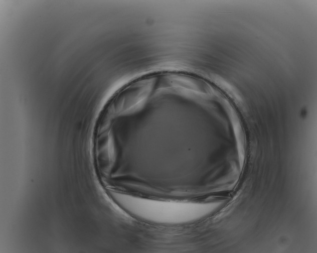 X0000094191334200711241607