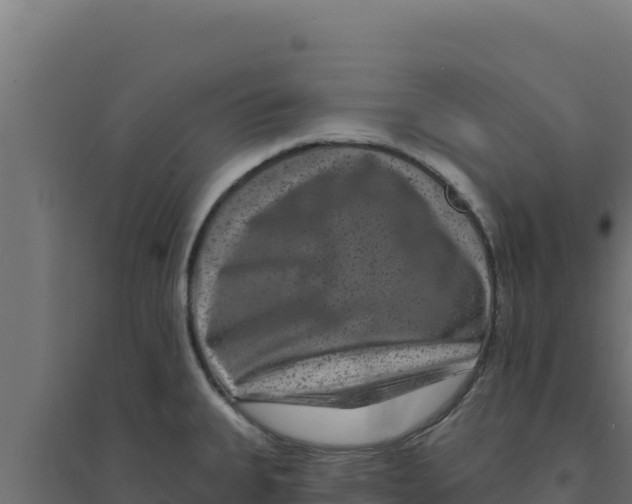 X0000094191335200711241607