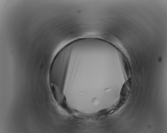 X0000094191336200711241607