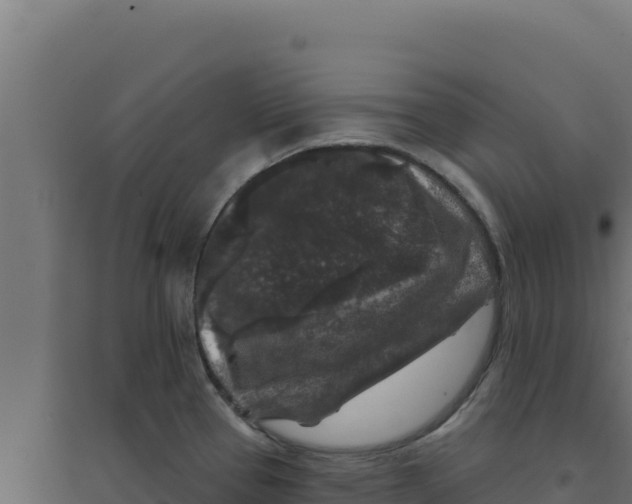 X0000094191337200711241607