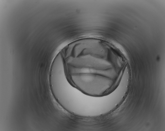 X0000094191338200711241607