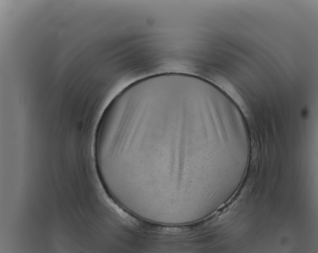 X0000094191339200711241607