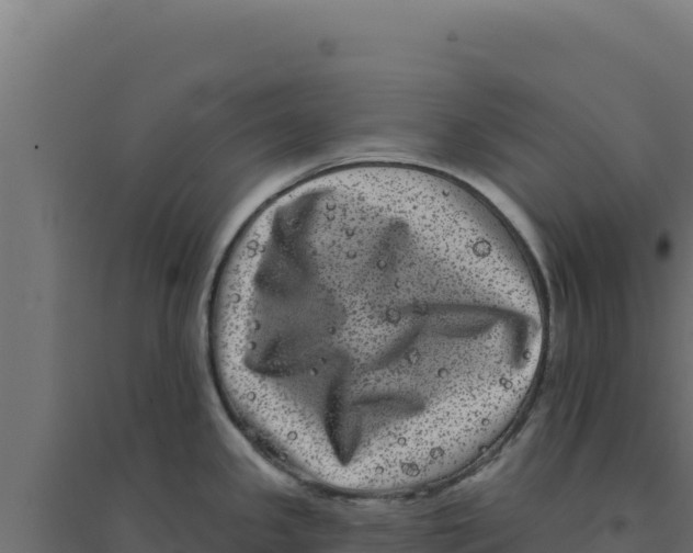 X0000094191341200711241607