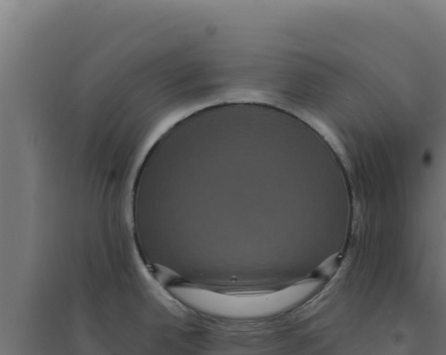 X0000094191342200711241607