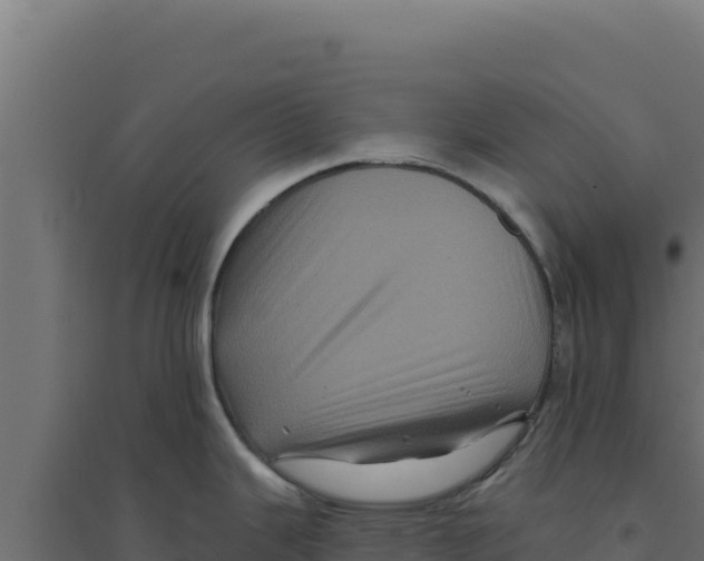 X0000094191343200711241607