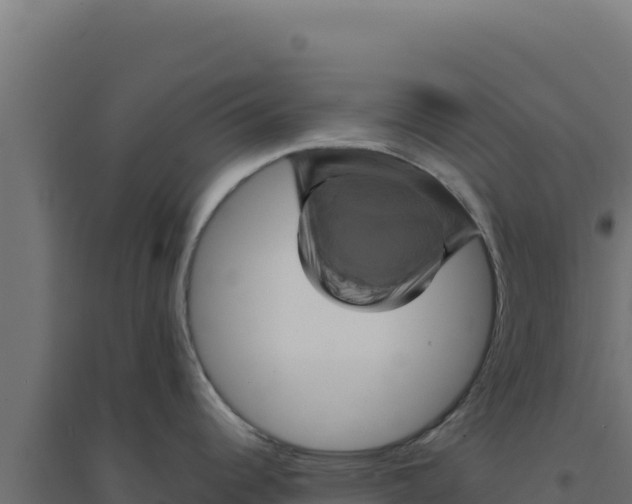 X0000094191344200711241607