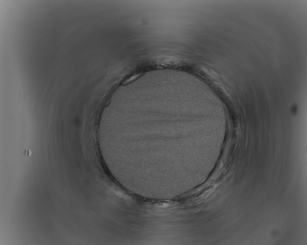 X0000094191345200711241606