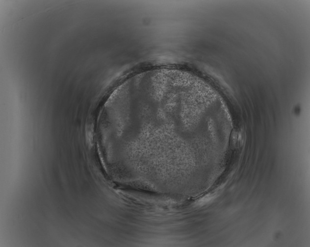 X0000094191348200711241606