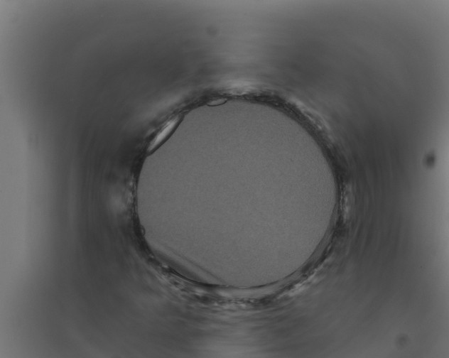 X0000094191349200711241606