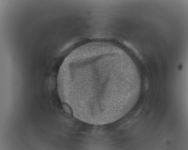 X0000094191350200711241606