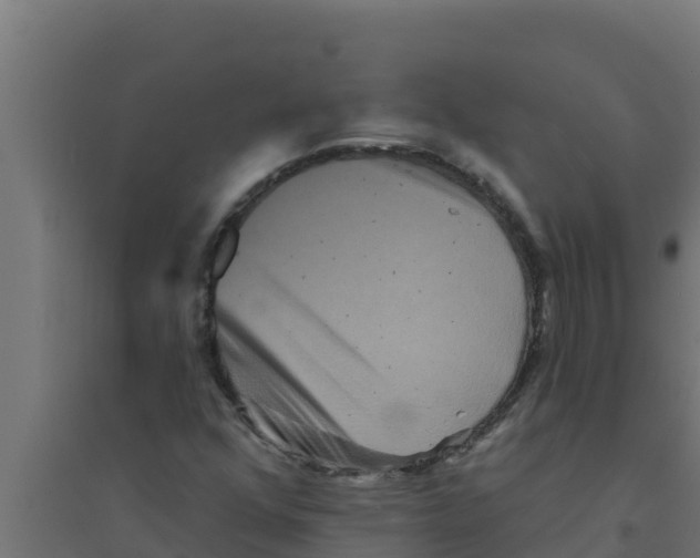 X0000094191352200711241606