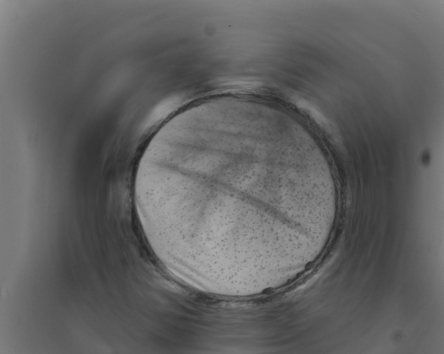 X0000094191354200711241606