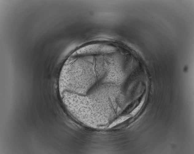 X0000094191355200711241606