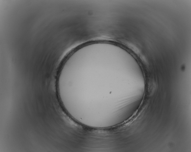 X0000094191356200711241606