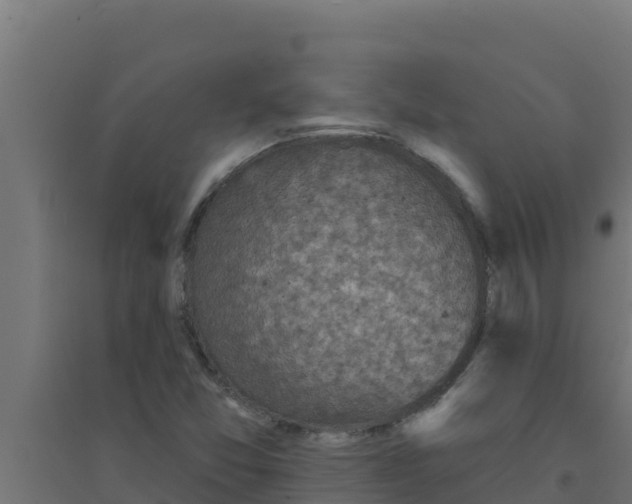 X0000094191357200711241606