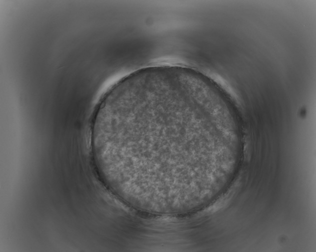 X0000094191358200711241606