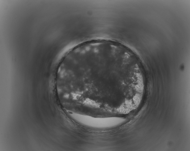 X0000094191359200711241606