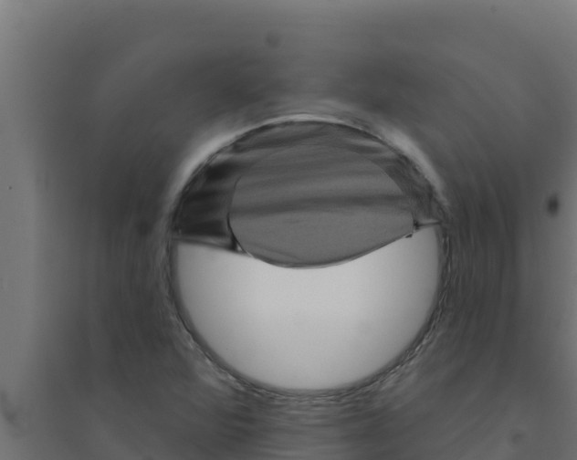 X0000094191360200711241606