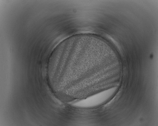 X0000094191361200711241606