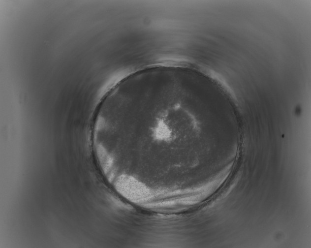 X0000094191362200711241606