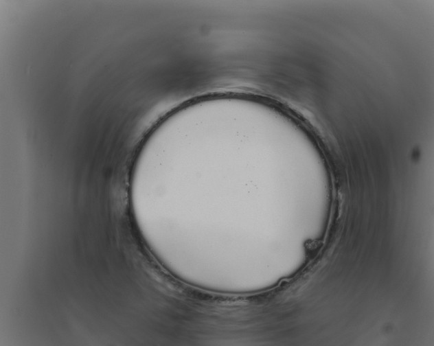 X0000094191363200711241606