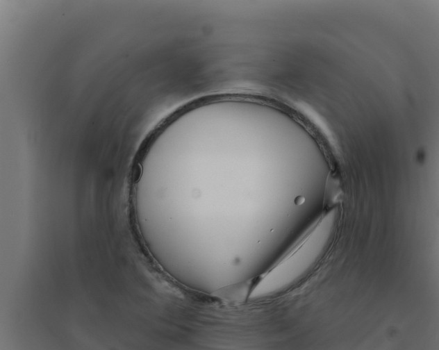 X0000094191364200711241606