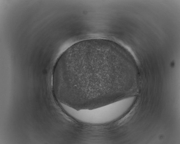 X0000094191365200711241606