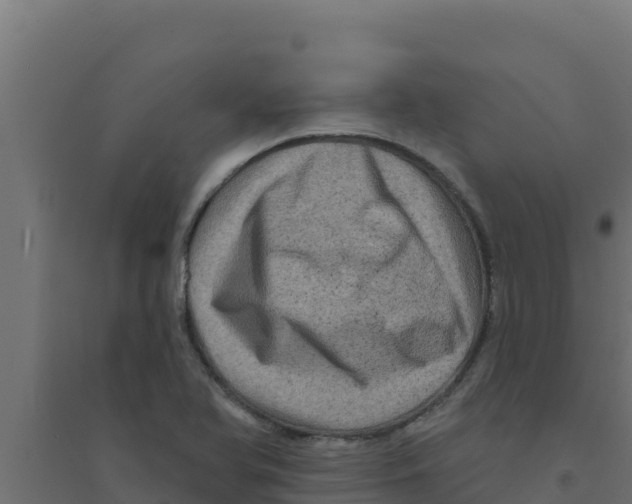 X0000094191366200711241606