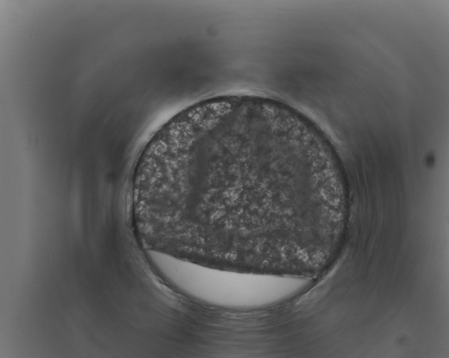 X0000094191367200711241606