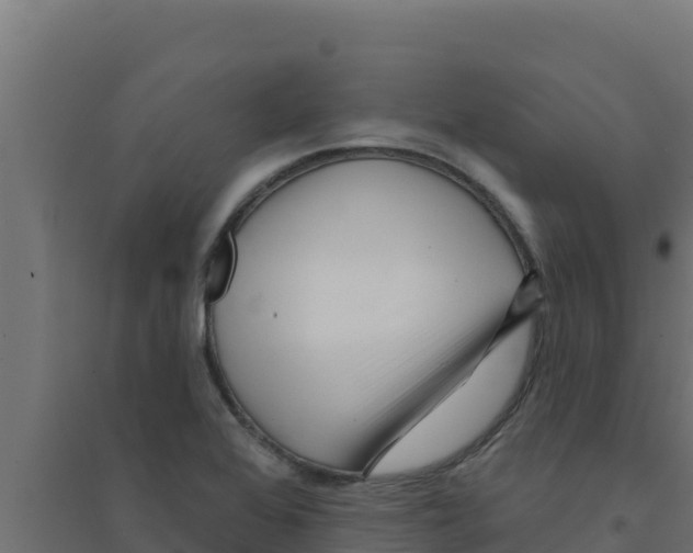 X0000094191368200711241606