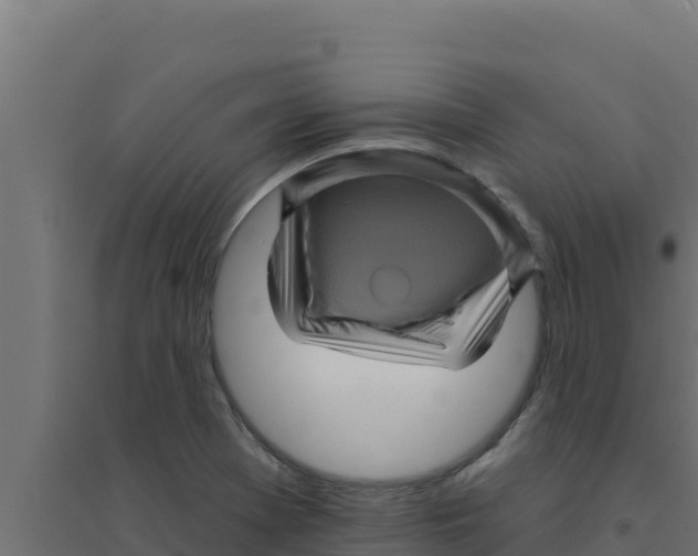 X0000094191369200711241606