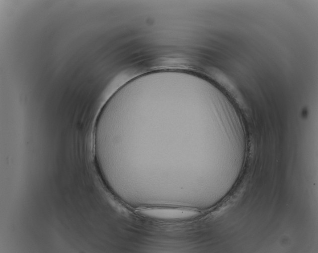 X0000094191370200711241606