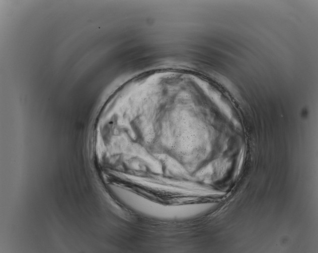 X0000094191371200711241606