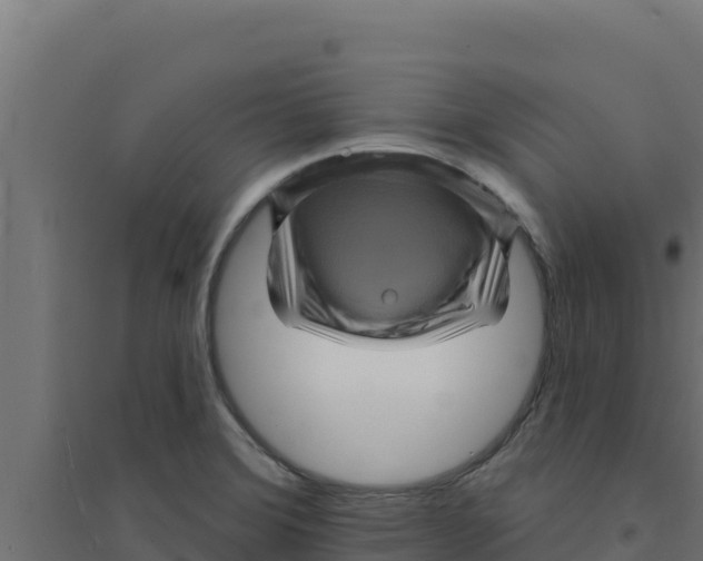 X0000094191372200711241606