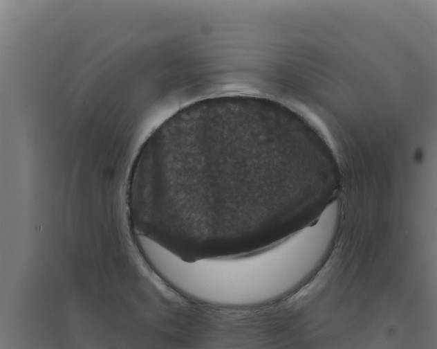 X0000094191373200711241606