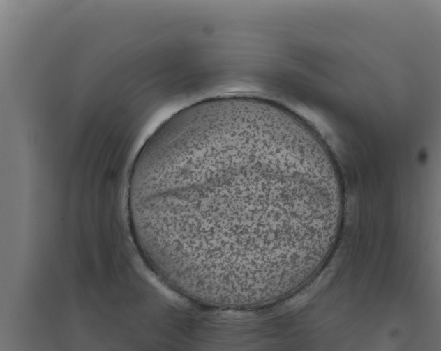 X0000094191374200711241606